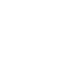 20ft Radio logo