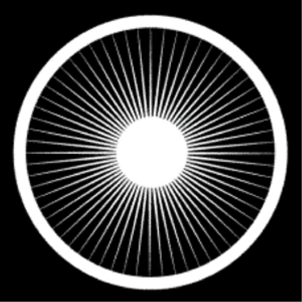 Dr. Dick's Dub Shack logo