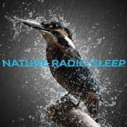 Nature Radio Sleep logo