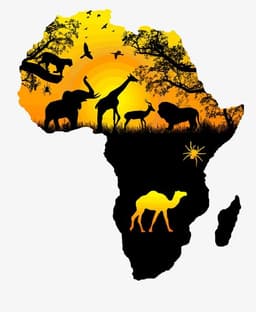 FM Afrique Dambe logo
