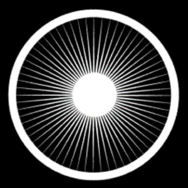 Dr. Dick's Dub Shack logo